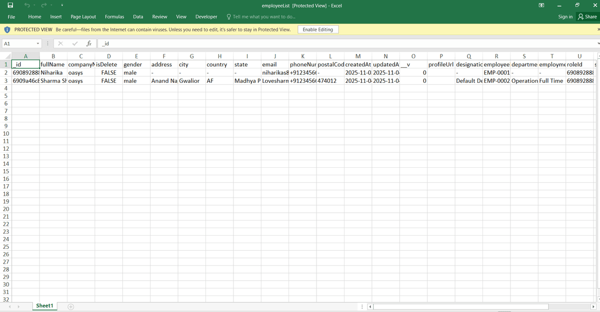 Excel Export Preview